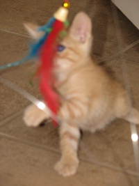 20100206 430.JPG